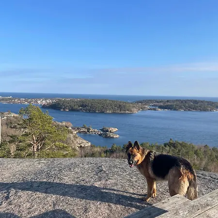 Gjeving Ferienhaus Tvedestrand